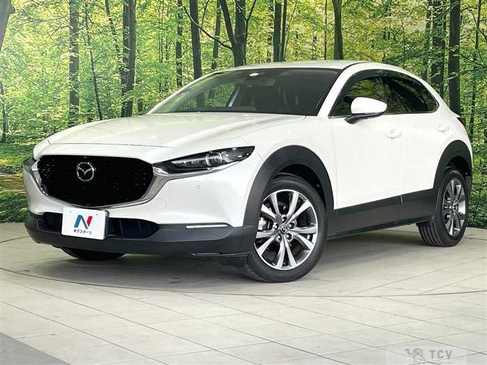 2019 Mazda Mazda Others