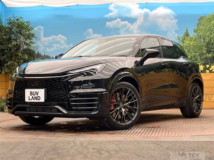 2025 Lexus Other