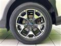 2019 Subaru Subaru Others