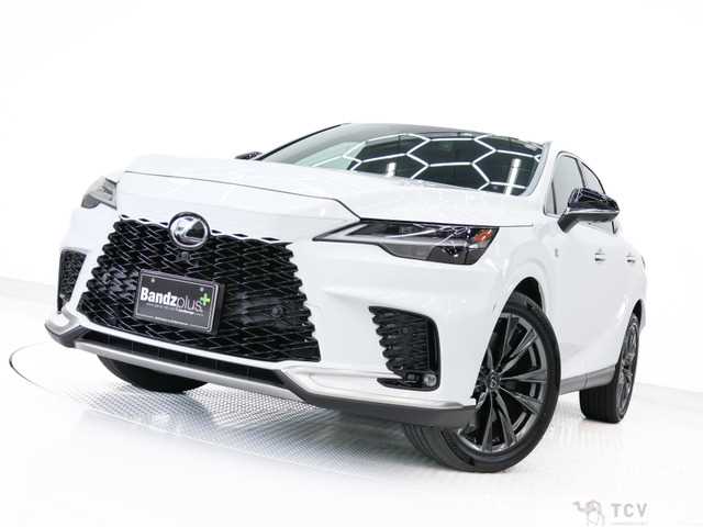 2023 Lexus RX