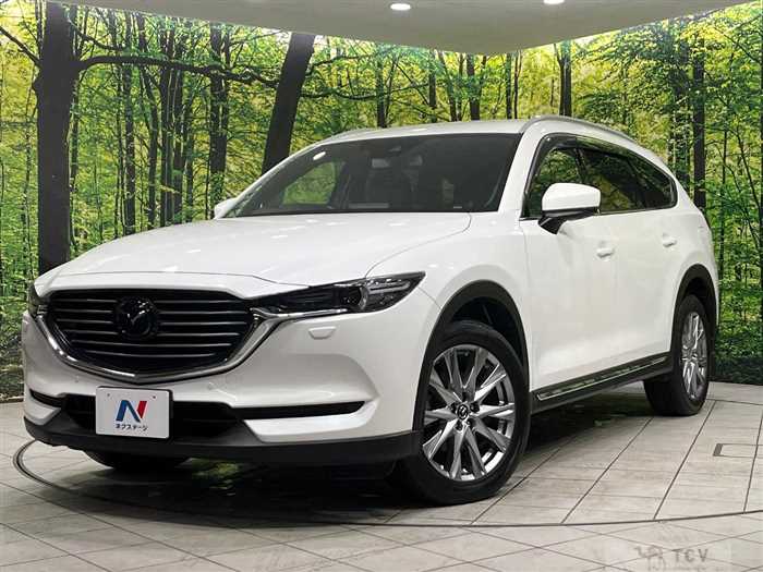 2018 Mazda CX-8
