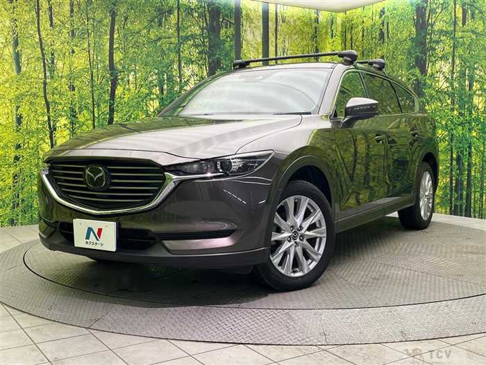 2018 Mazda CX-8