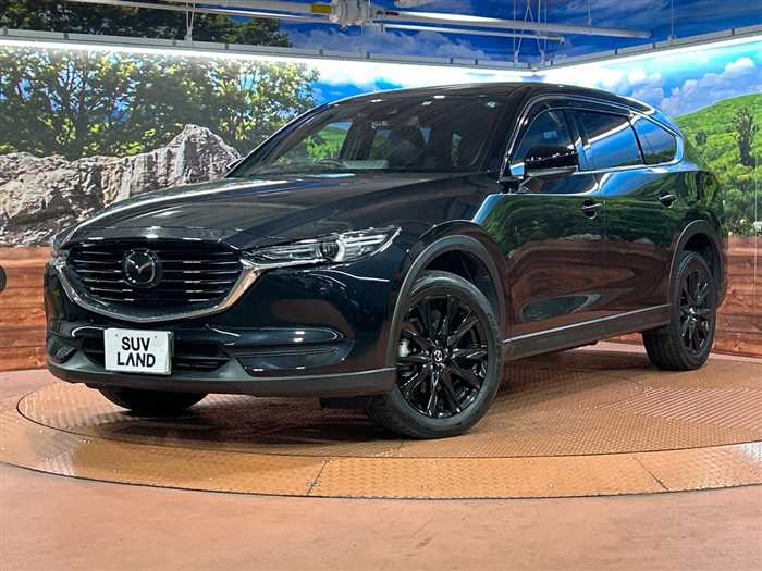 Mazda CX-8 2023 — миниатюра 2