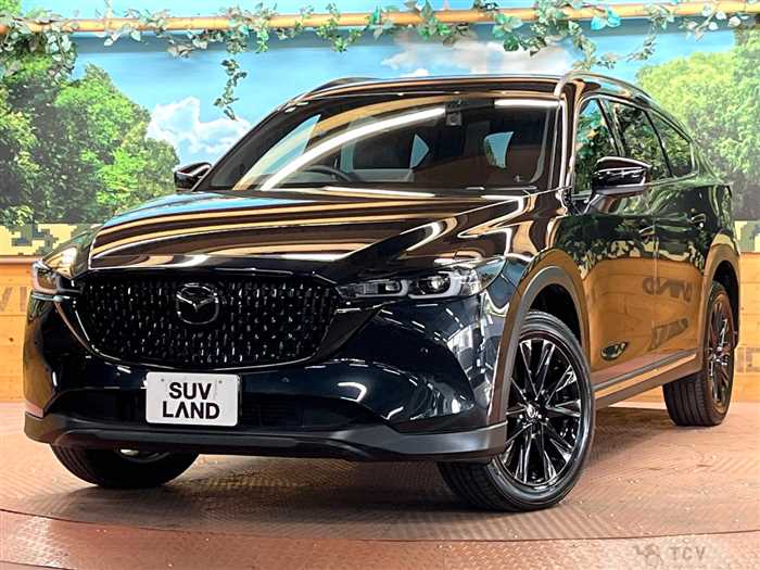 2023 Mazda CX-8