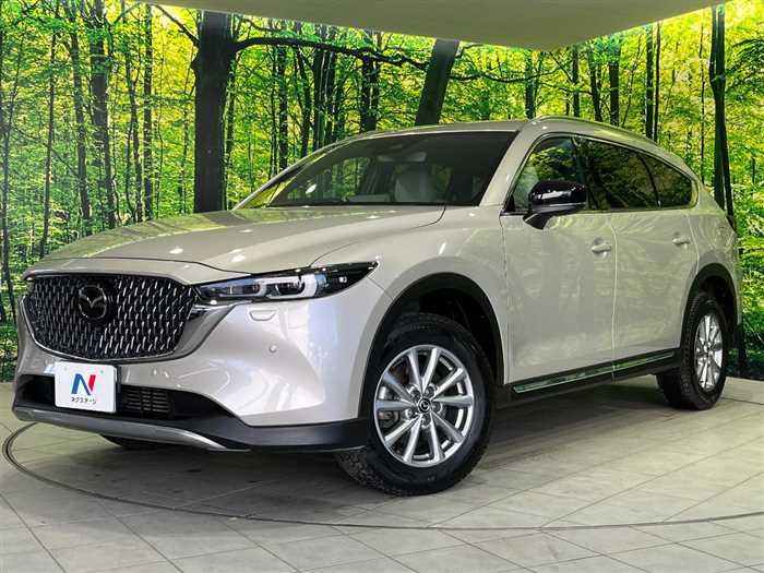 Mazda CX-8 2023 — миниатюра 2