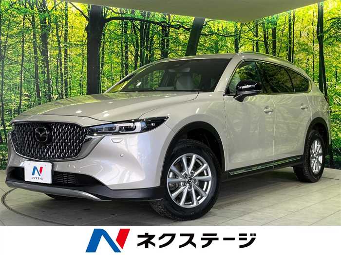 Mazda CX-8 2023 — миниатюра 5