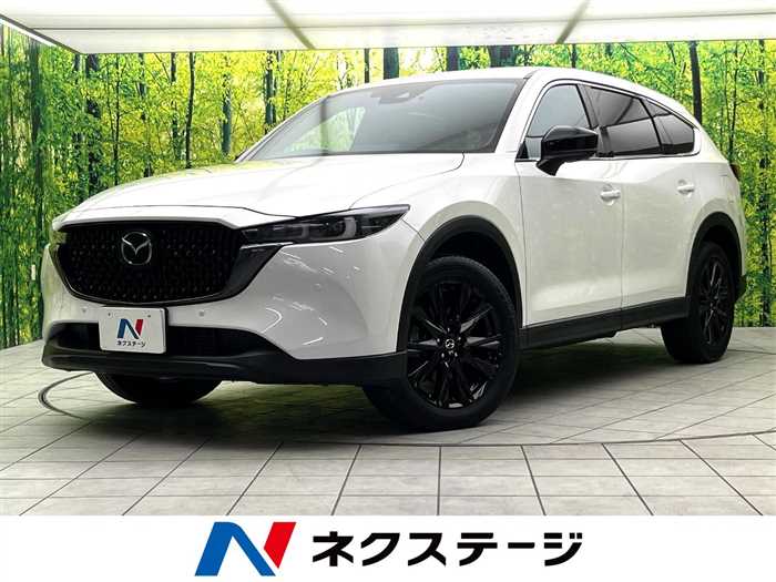Mazda CX-8 2023 — фото 5 купить в Москве