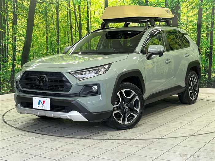 2019 Toyota RAV4