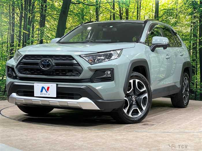 2019 Toyota RAV4