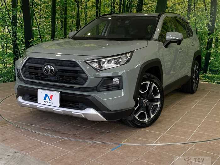 2019 Toyota RAV4