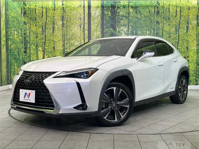 2019 Lexus Other