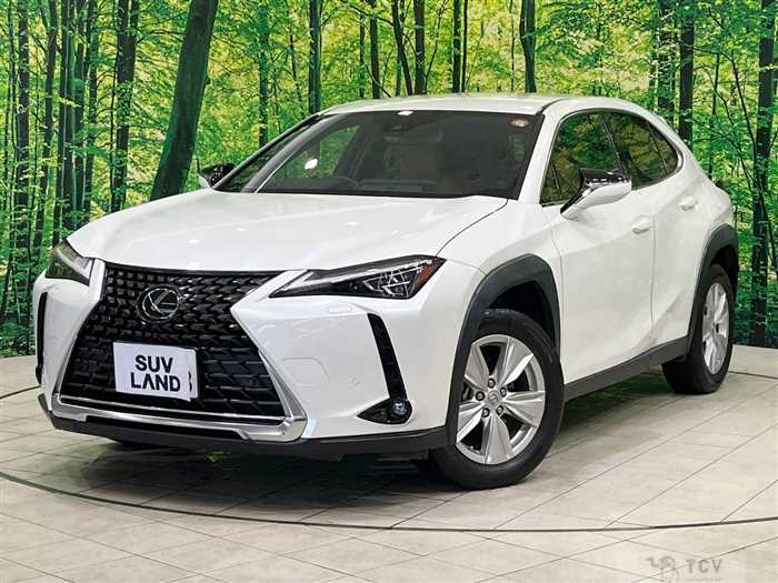 2023 Lexus Other