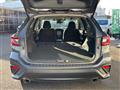 2023 Subaru Levorg