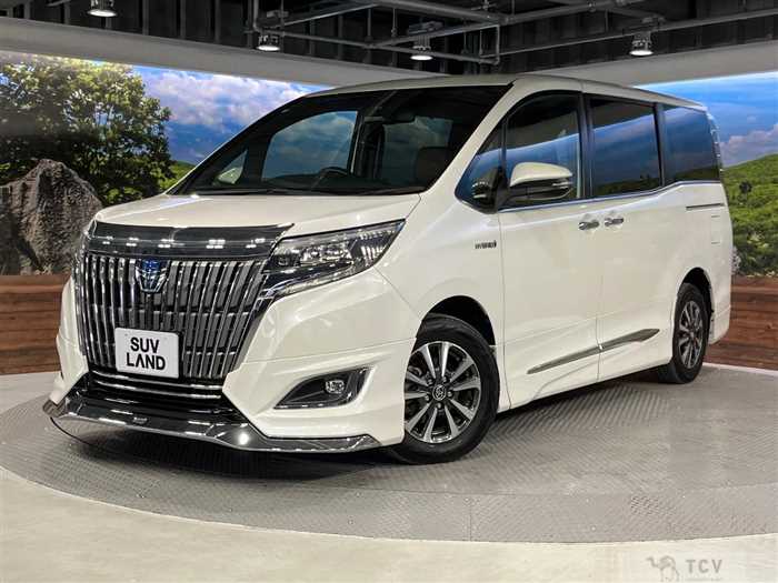 2017 Toyota Esquire