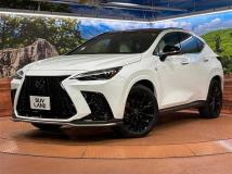 2023 Lexus NX