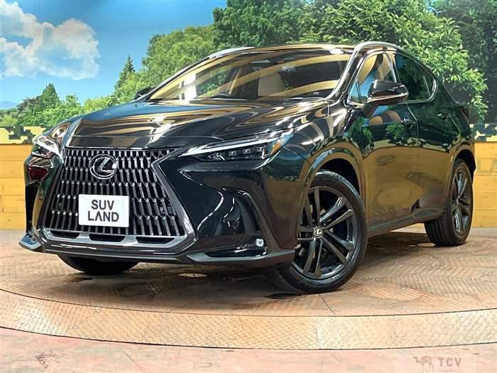 2023 Lexus NX