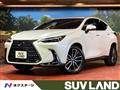 2021 Lexus NX