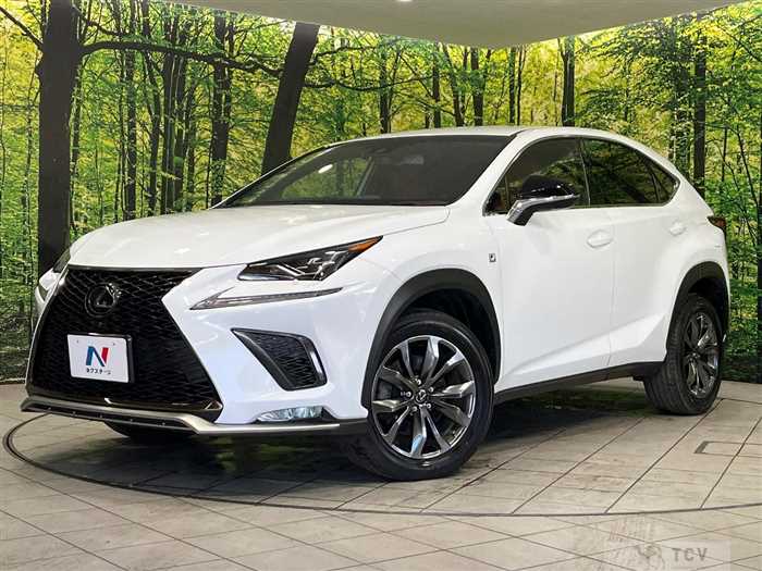 2018 Lexus NX