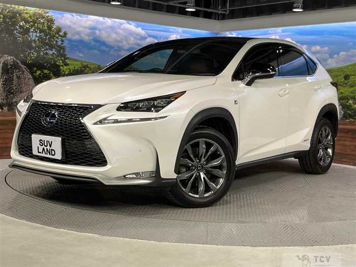 2015 Lexus NX