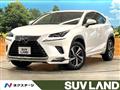 2018 Lexus NX