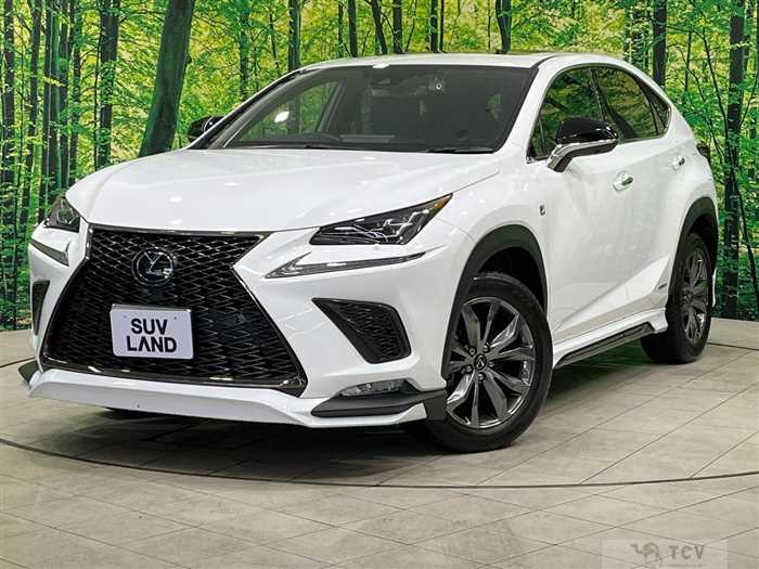 2020 Lexus NX
