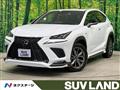 2020 Lexus NX