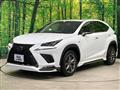 2020 Lexus NX