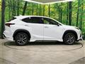 2020 Lexus NX