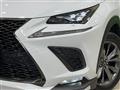 2020 Lexus NX