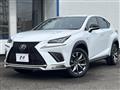 2019 Lexus NX