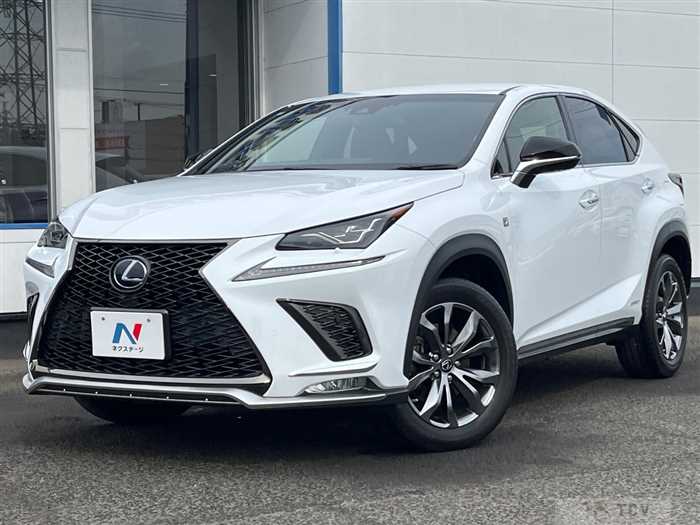 2019 Lexus NX