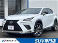 2019 Lexus NX