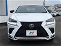 2019 Lexus NX