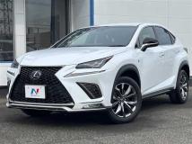 2019 Lexus NX