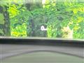2023 Mazda Mazda2