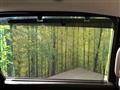 2022 Honda Freed