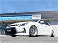 2010 Toyota Mark X