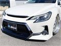 2010 Toyota Mark X