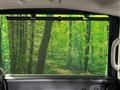 2024 Honda Freed