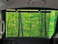 2024 Honda Freed