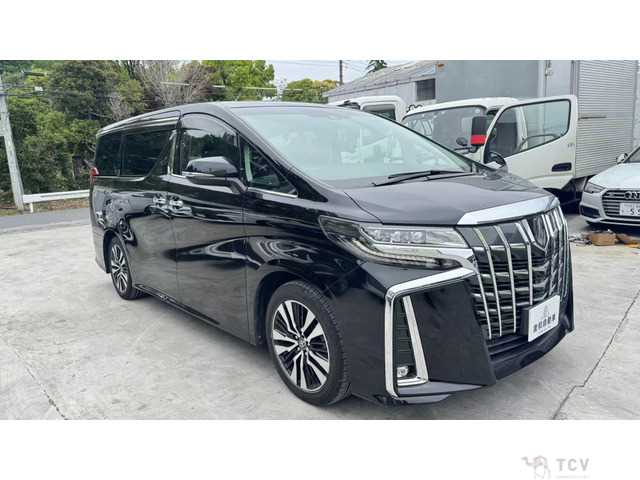 2020 Toyota Alphard G