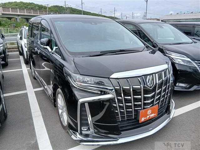 2019 Toyota Alphard G