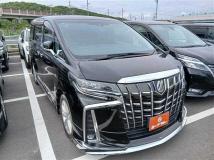 2019 Toyota Alphard G