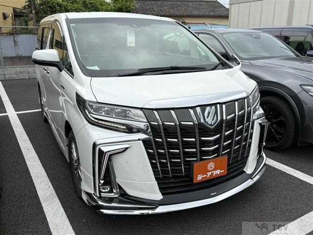 2019 Toyota Alphard G