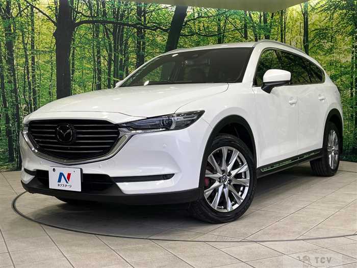 2018 Mazda CX-8