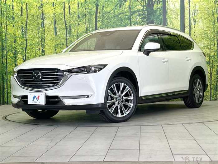 2019 Mazda CX-8