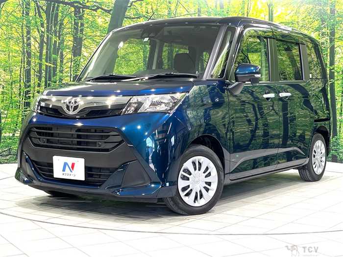 2019 Toyota Tank
