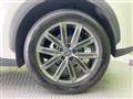 2024 Lexus Other