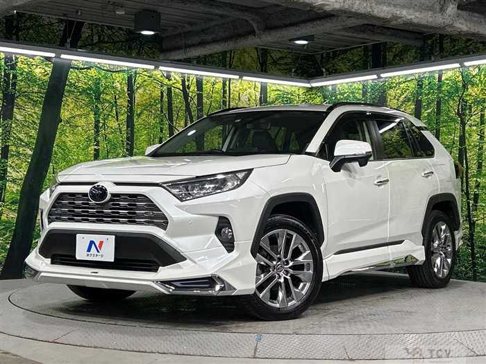 2019 Toyota RAV4