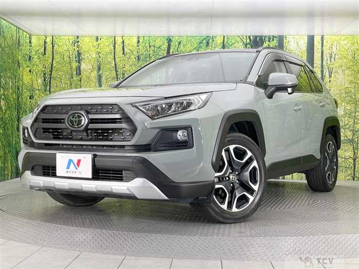 2019 Toyota RAV4